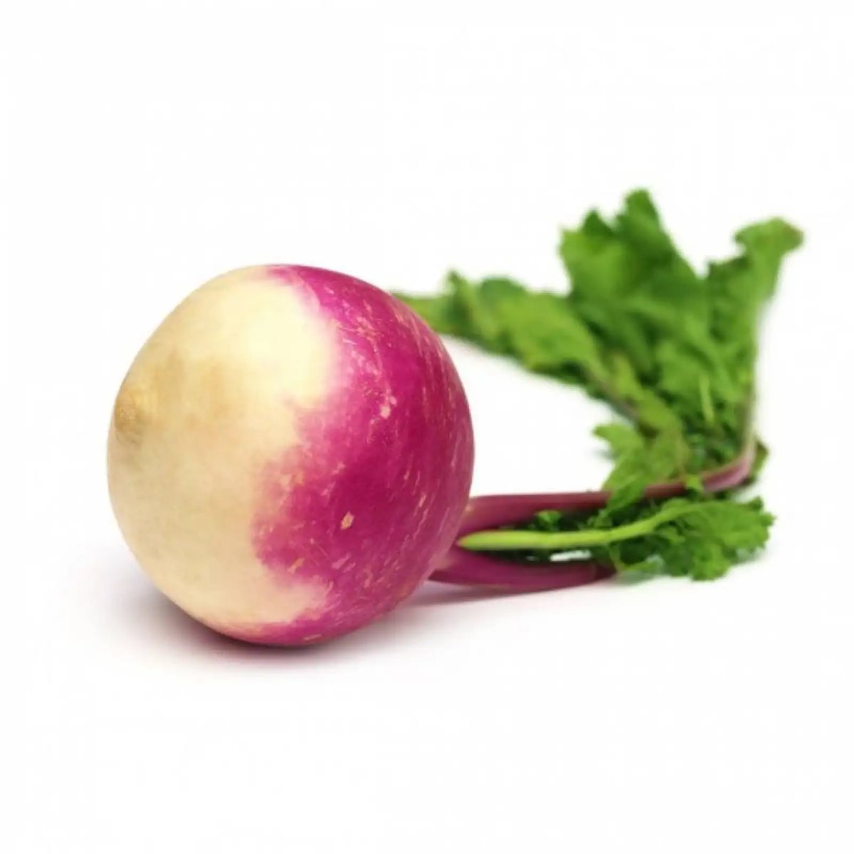 public-1764622330 Nabo - Image 1