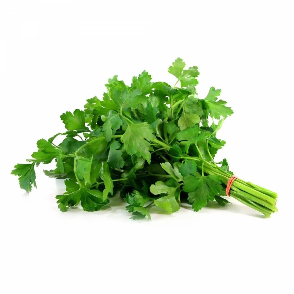 public-1764622382 Salsa 80G - Image 1