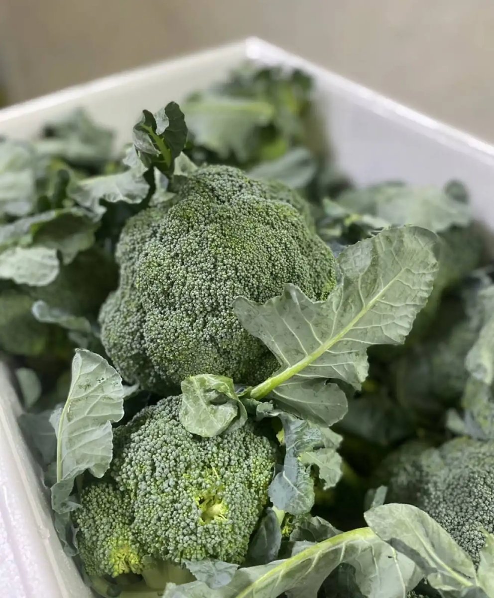 public-1764622404 Bróculos Nacionais - Image 1