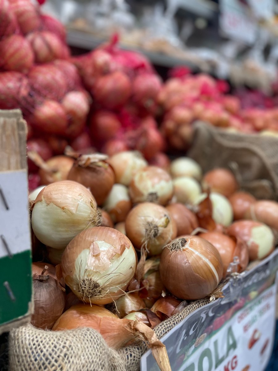 public-1764622498 Cebola - Image 1