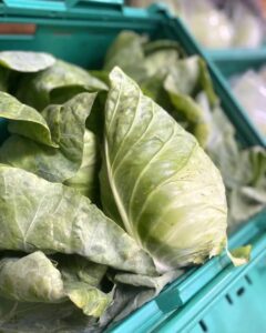 Couve Coração de Boi