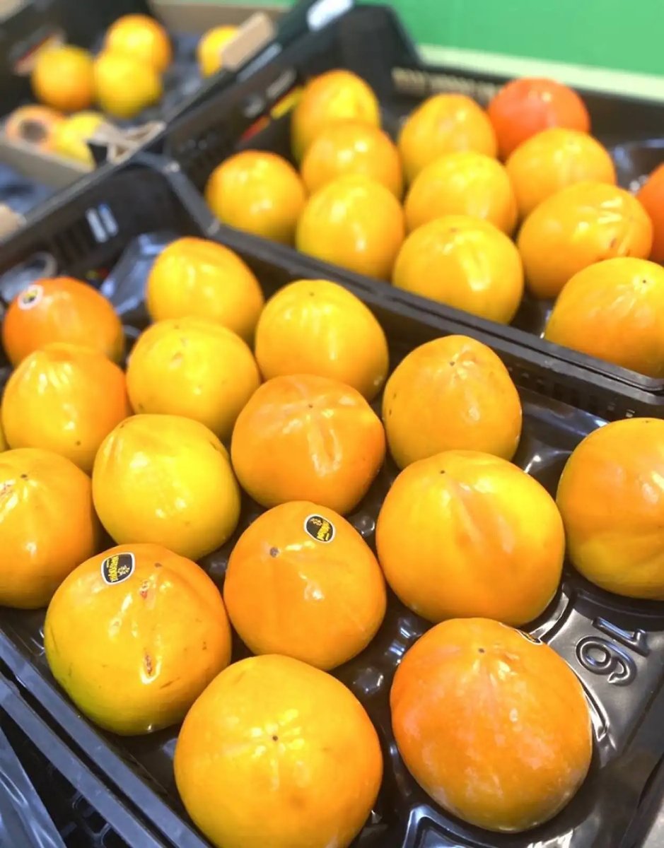 public-1764622659 Diospiro de roer Kg - Image 1