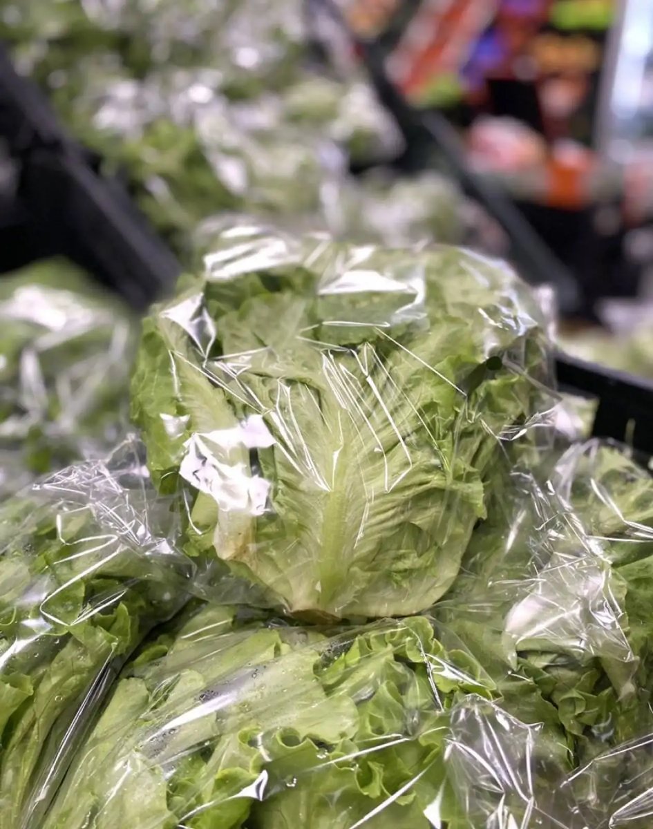 public-1764623011 Alface Frisada Unidade (500g) - Image 1