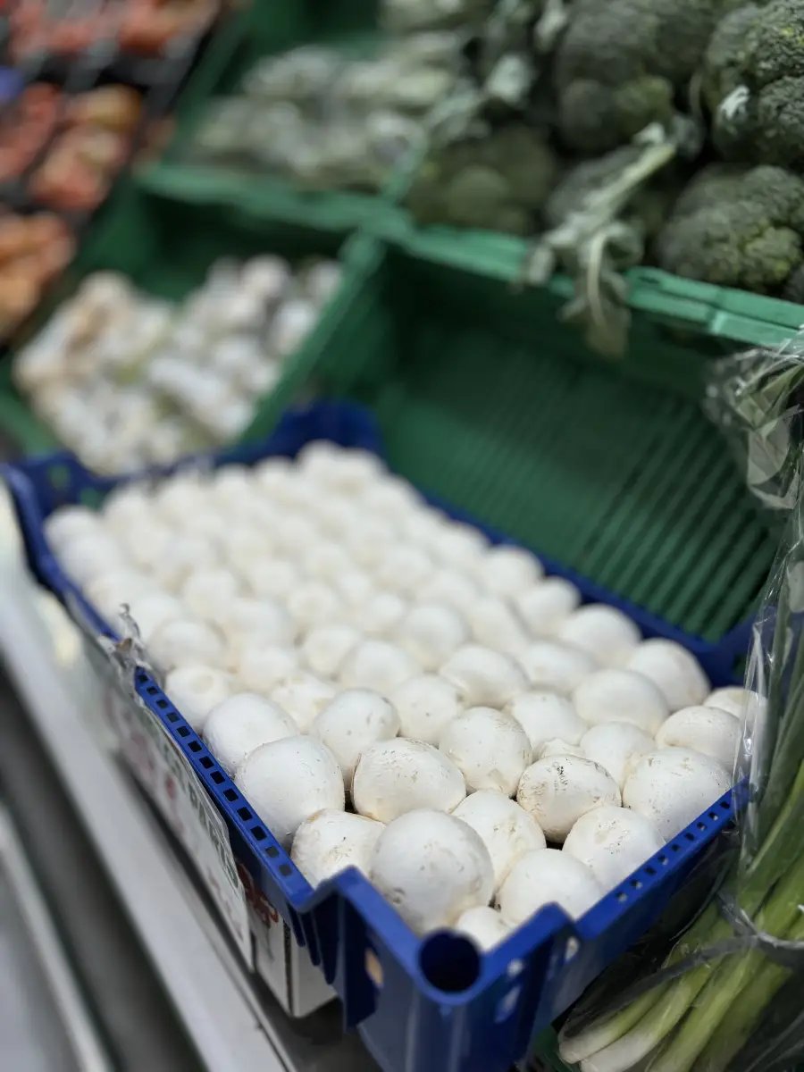 public-1764623120 Cogumelos Paris - Image 1