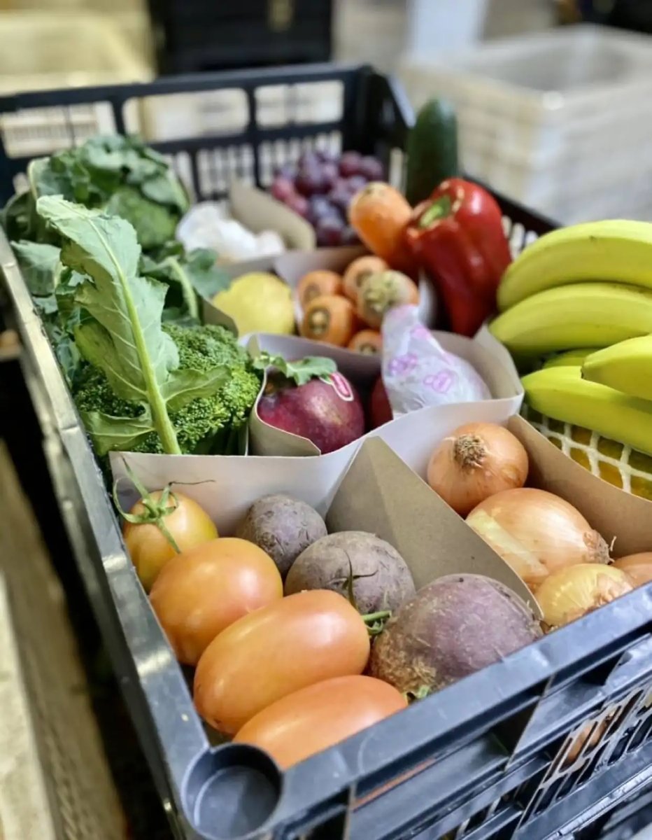 public-1764624155 CABAZ FAMILIAR - Image 1