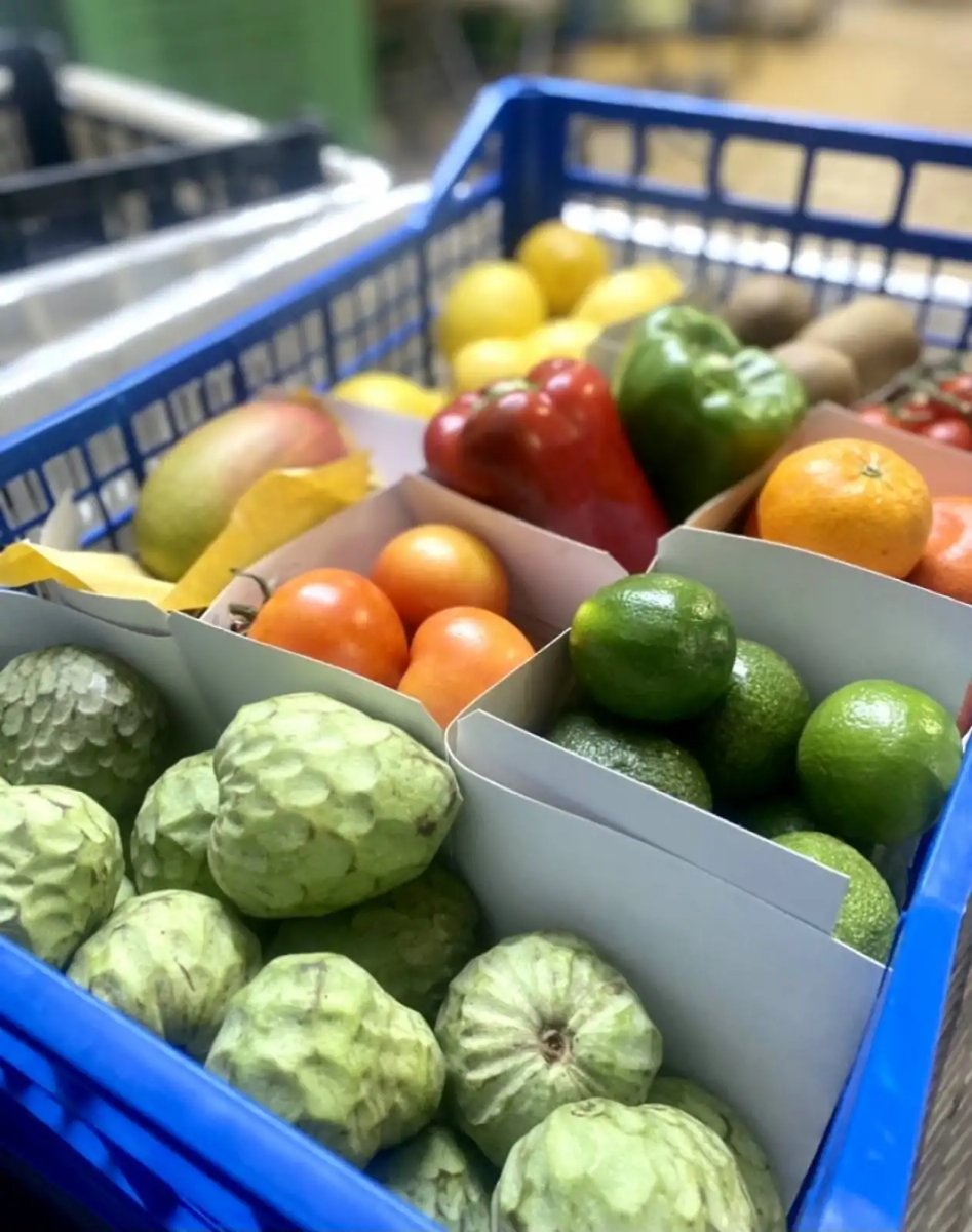 public-1764624159 CABAZ PORTUGUÊS - Image 1