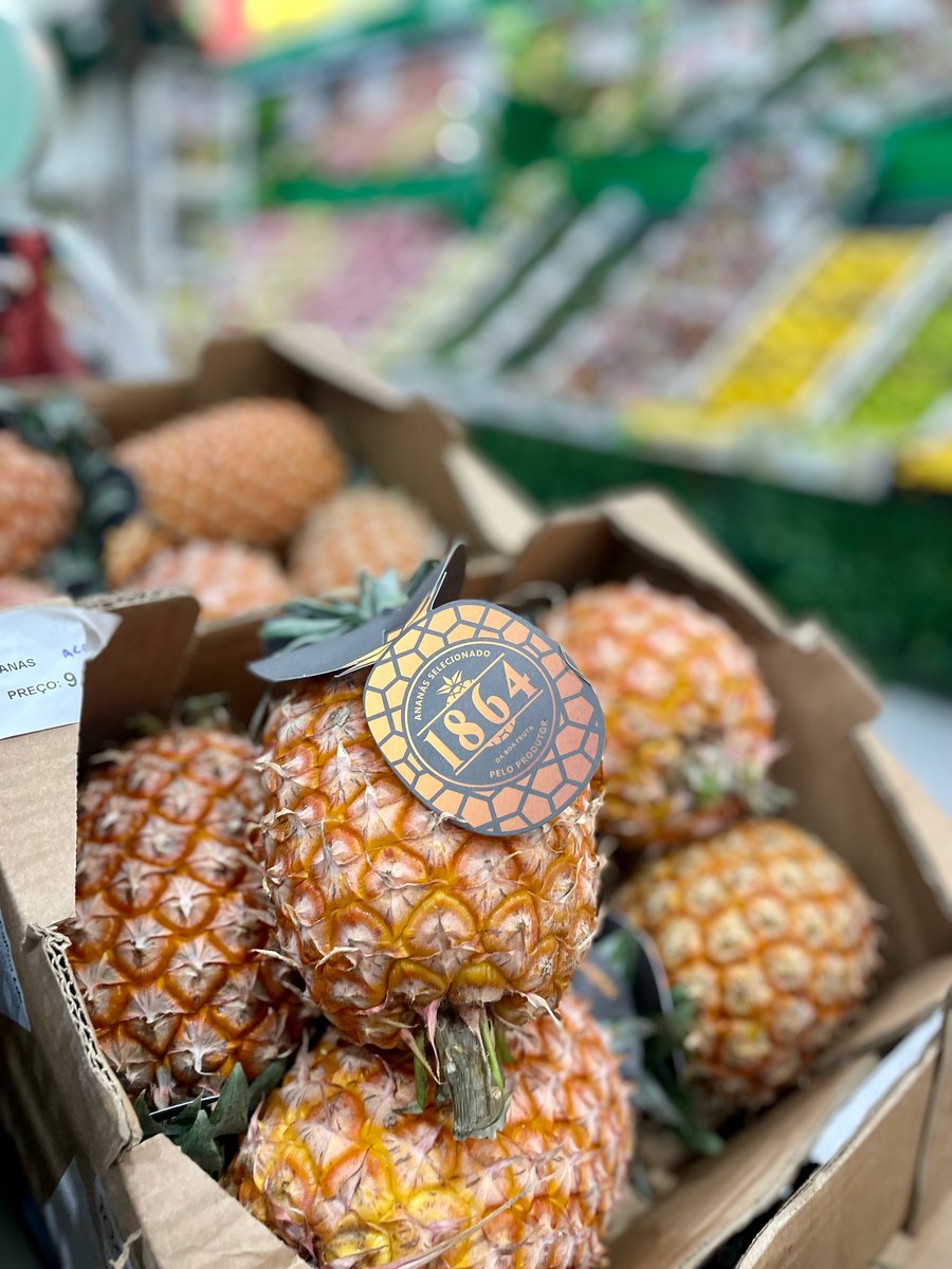 public-1764625158 Ananás dos açores - Image 1