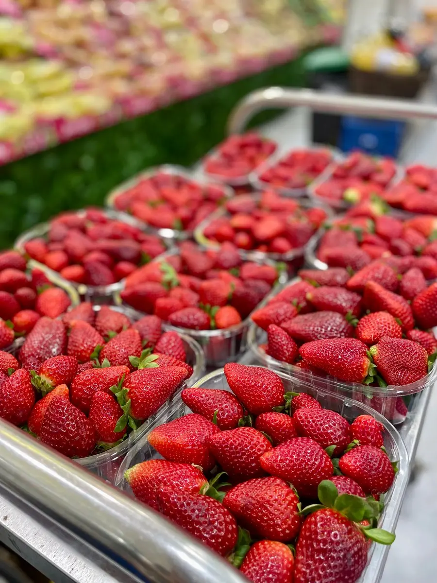 tgoo-img-699e1094a3add5.11278593 Morangos Nacionais - Image 1