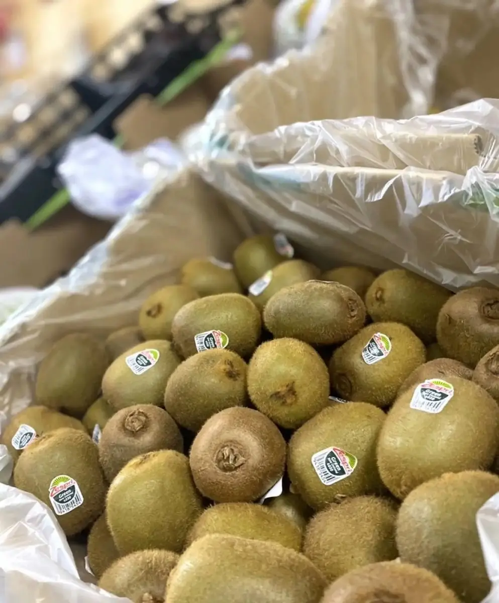 tgoo-img-699e10eb671d79.86870894 Kiwi Grande - Image 1