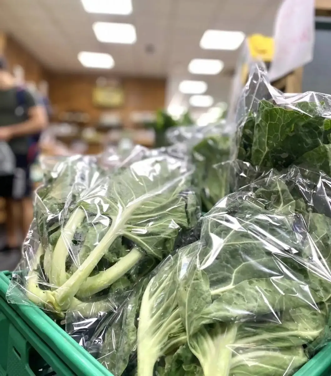 tgoo-img-699e1111df2559.02717804 Couve Portuguesa Unidade - Image 1