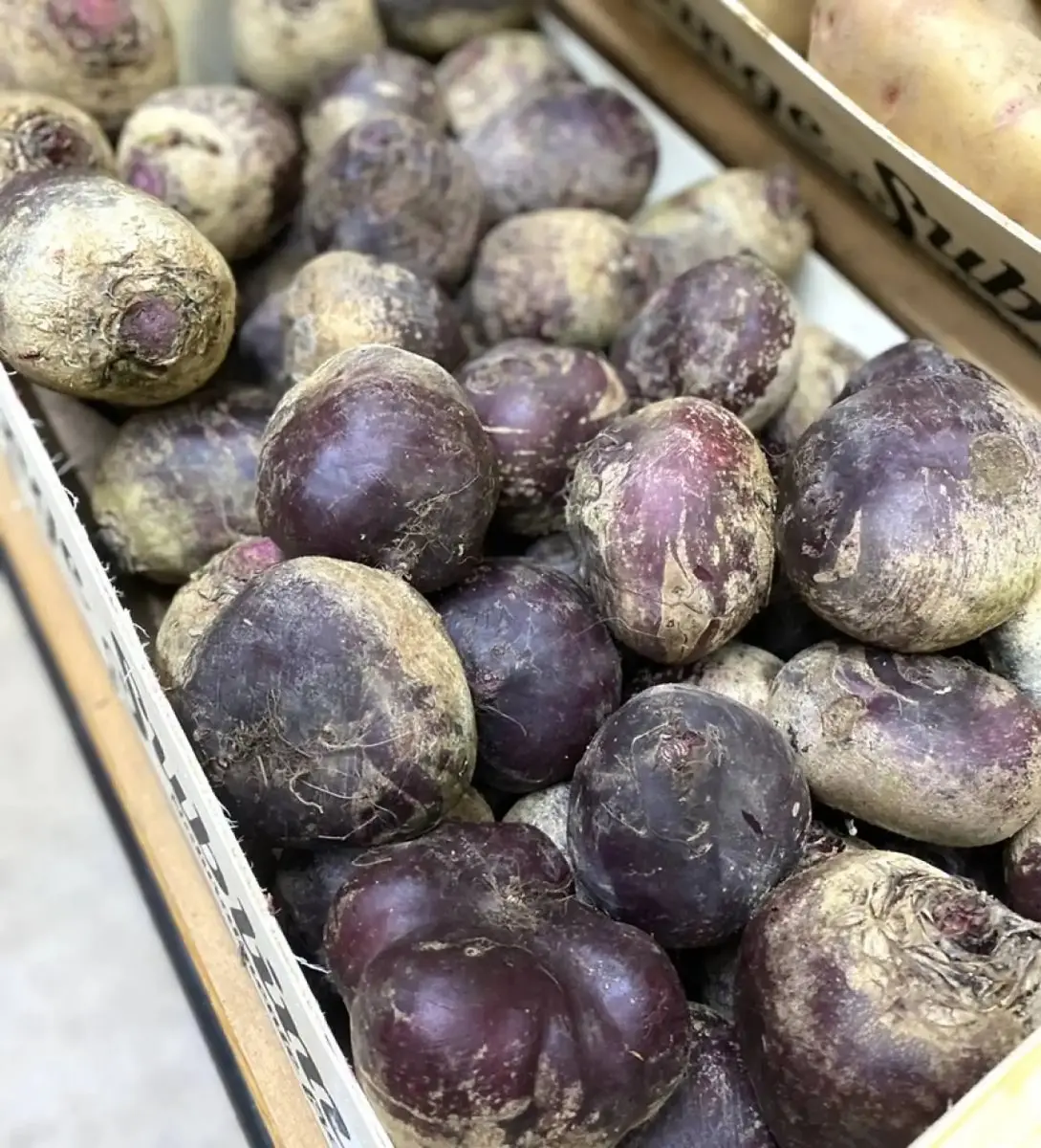 tgoo-img-699e111527c081.32558543 Beterraba fresca - Image 1