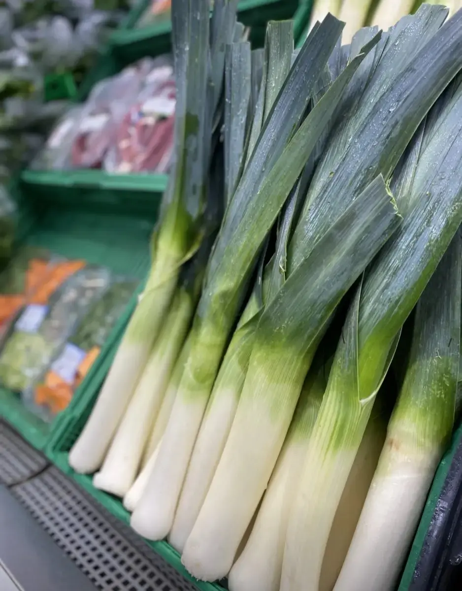 tgoo-img-699e111ea8f1d2.05259702 Alho Francês - Image 1