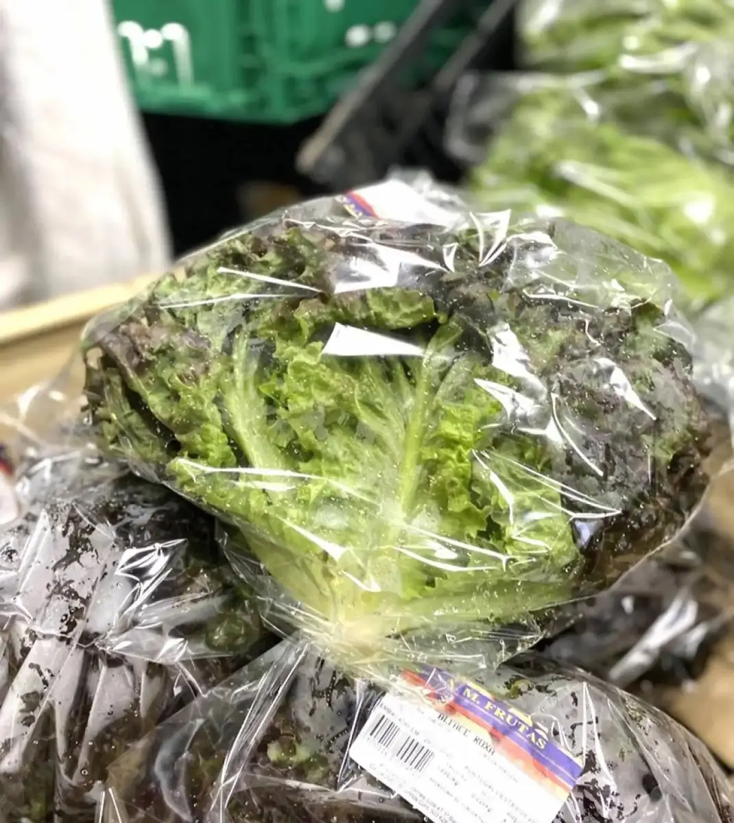 tgoo-img-699e118854cf13.70351928 Alface Roxa Unidade - Image 1