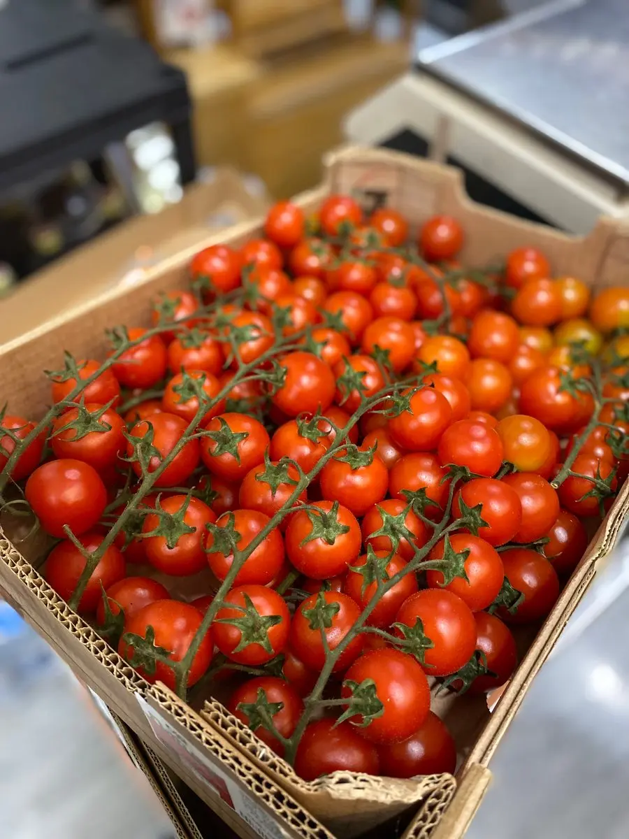 tgoo-img-699e11984400e3.43976704 Tomate Cherry - Image 1