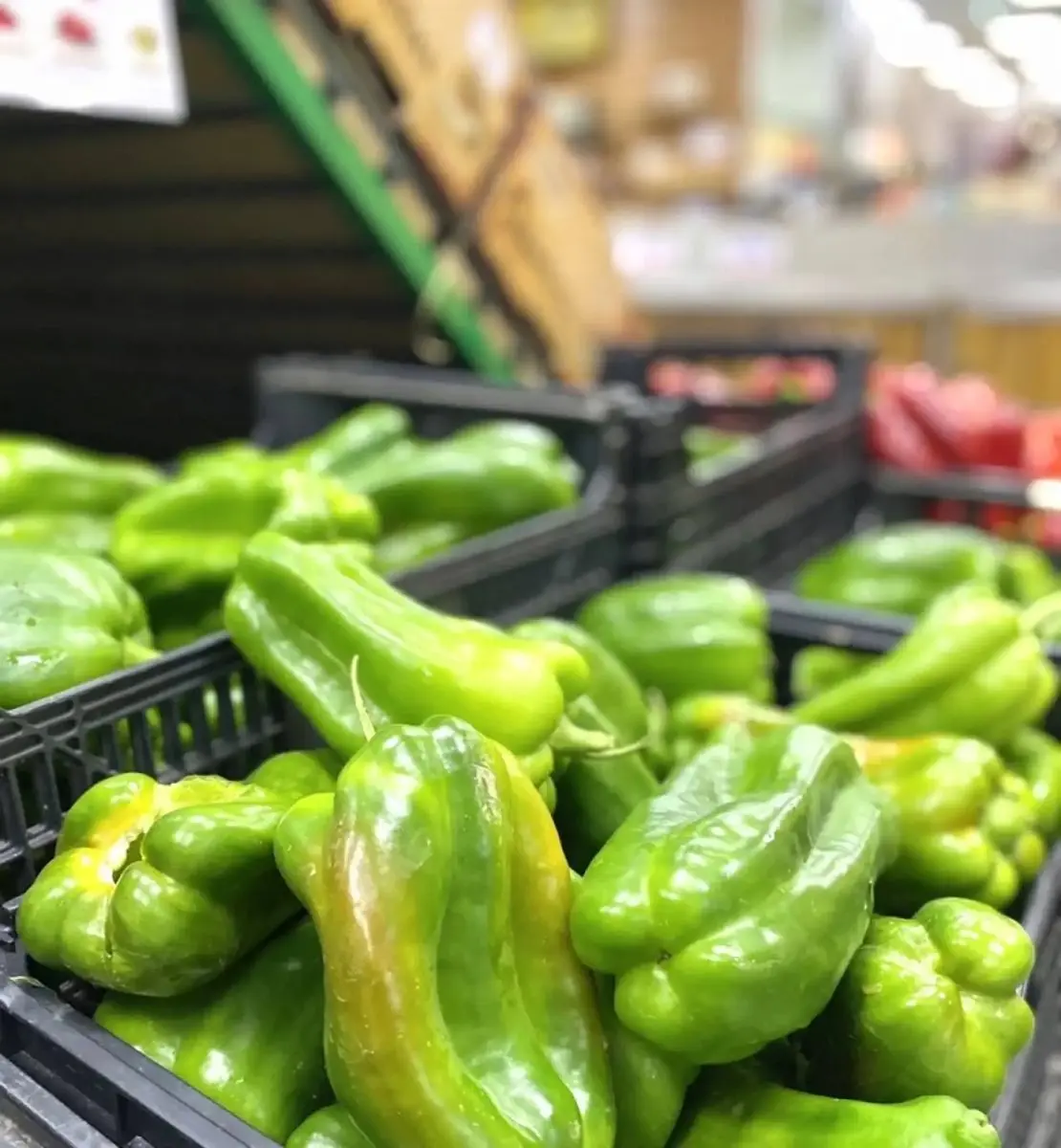 tgoo-img-699e11a014f534.78187050 Pimento Verde - Image 1