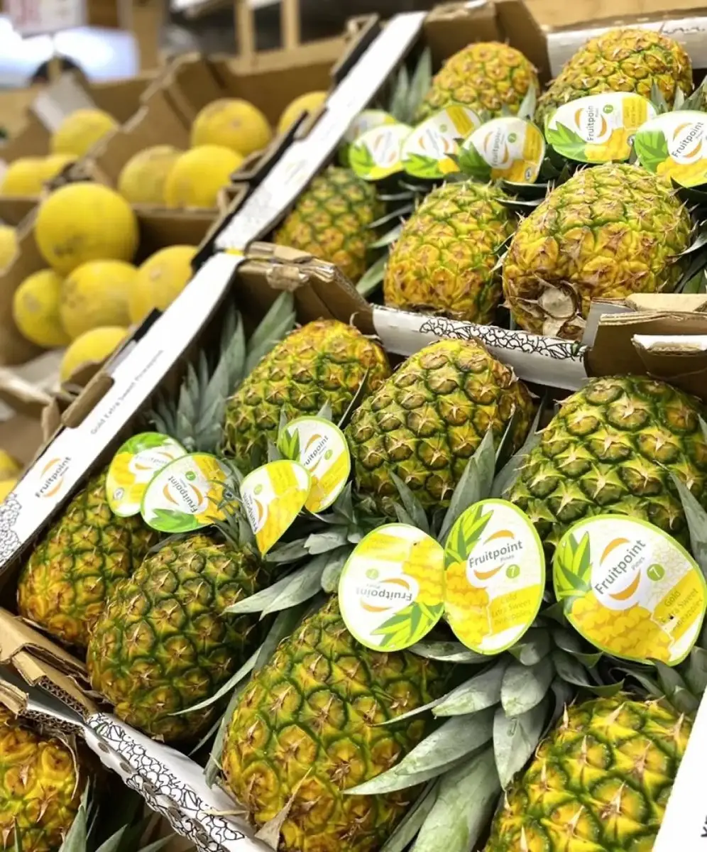 tgoo-img-699e11a39b7de8.05380012 Abacaxi Fruit Point inteiro - Image 1