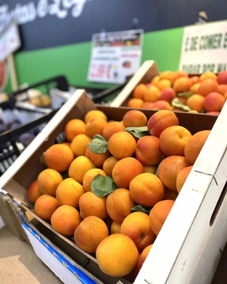 tgoo-img-699e11ccab4fe4.20554657 Alperce - Image 1