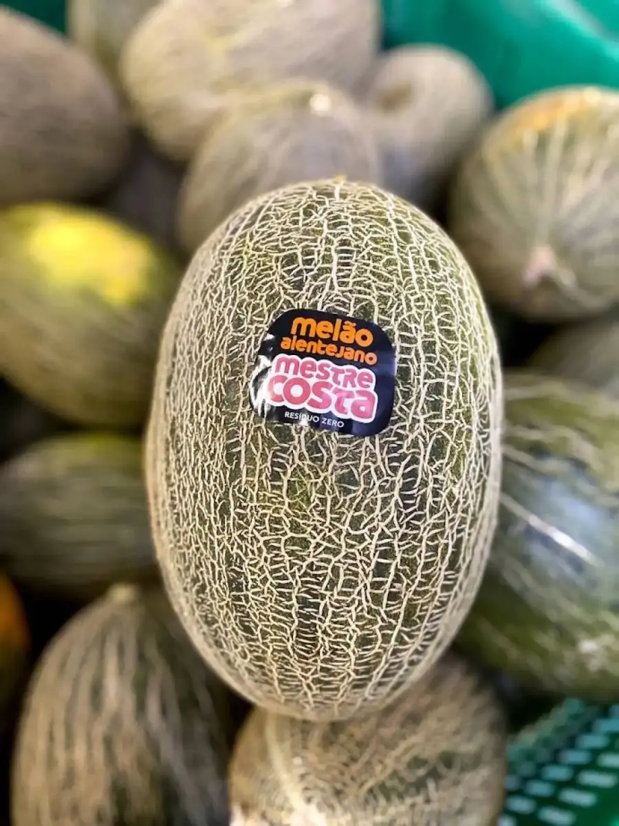 tgoo-img-699e11d3dd21c1.51811909 Melão Verde - Image 1