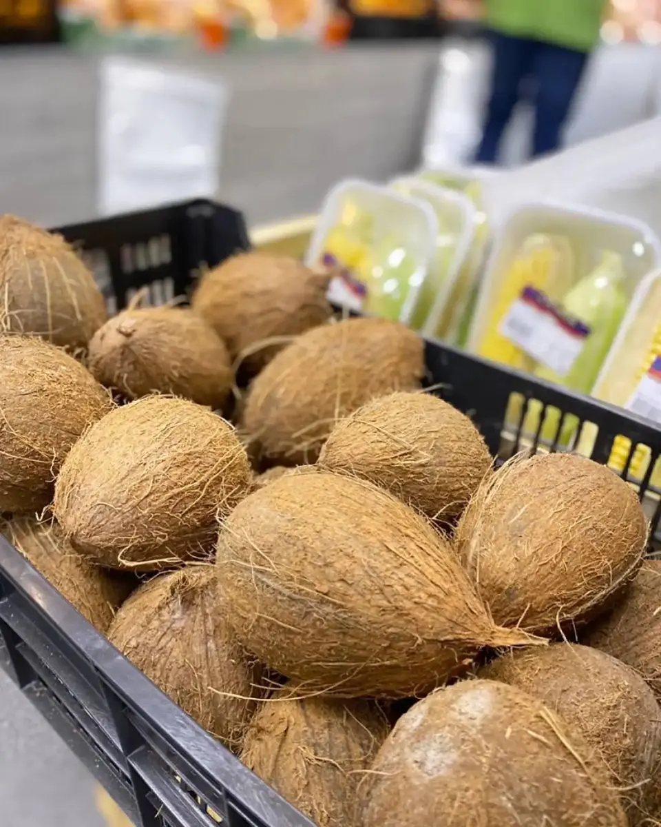 tgoo-img-699e11e0af1808.04154604 Côco Unidade - Image 1