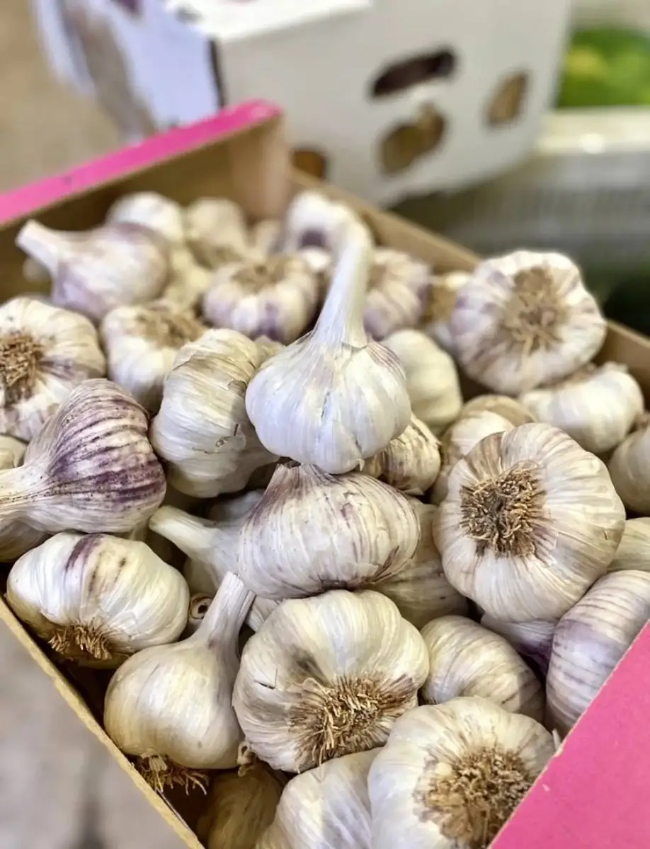 tgoo-img-699e122b486e86.58470531 Alhos Nacionais graúdos - Image 1