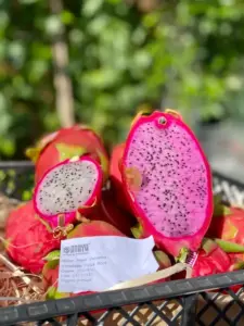 Pitaya vermelha