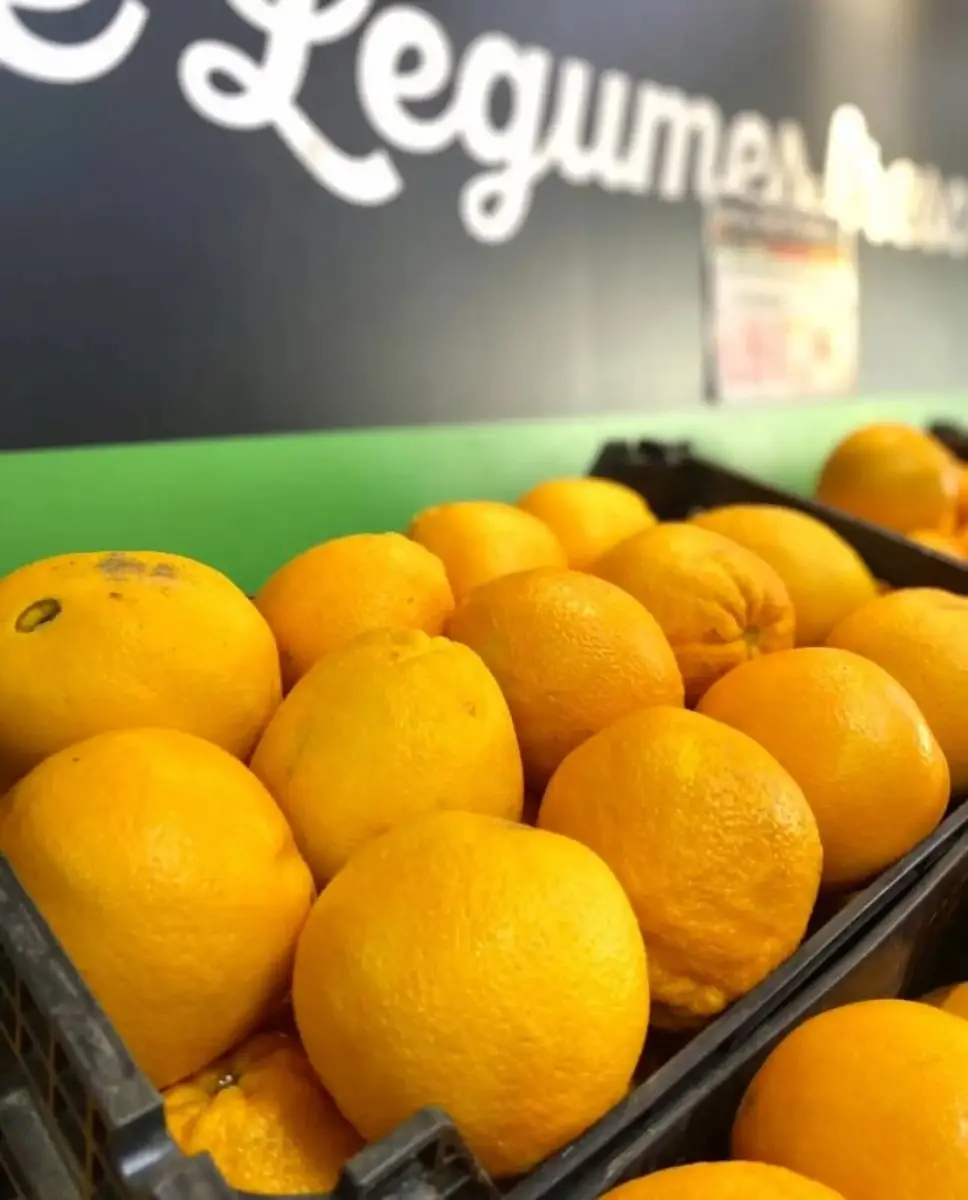 tgoo-img-699e145ba0a525.11324065 Laranja de Mesa - Image 1