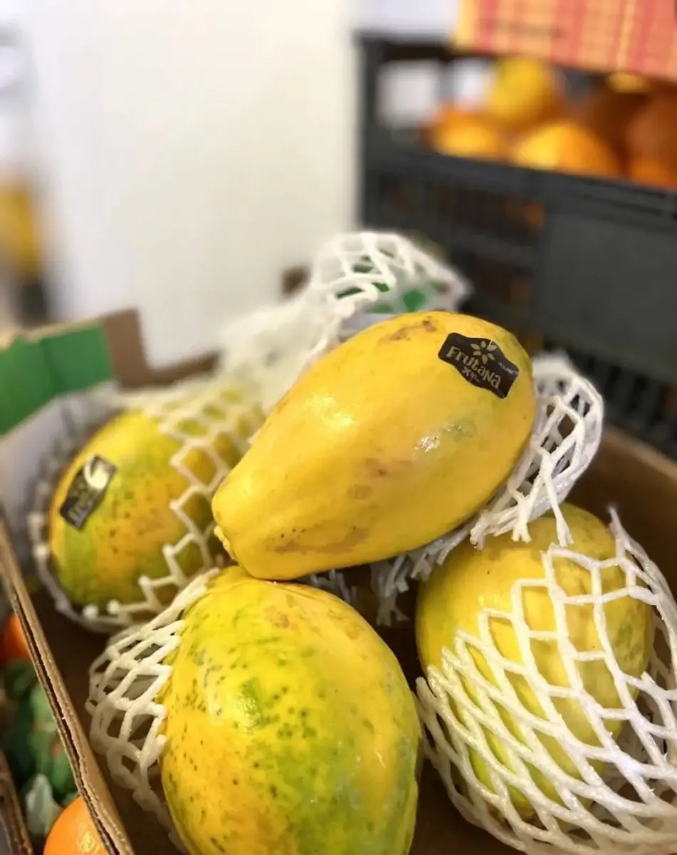 tgoo-img-699e151ad35a19.31519922 Papaia Via Aérea metade - Image 1