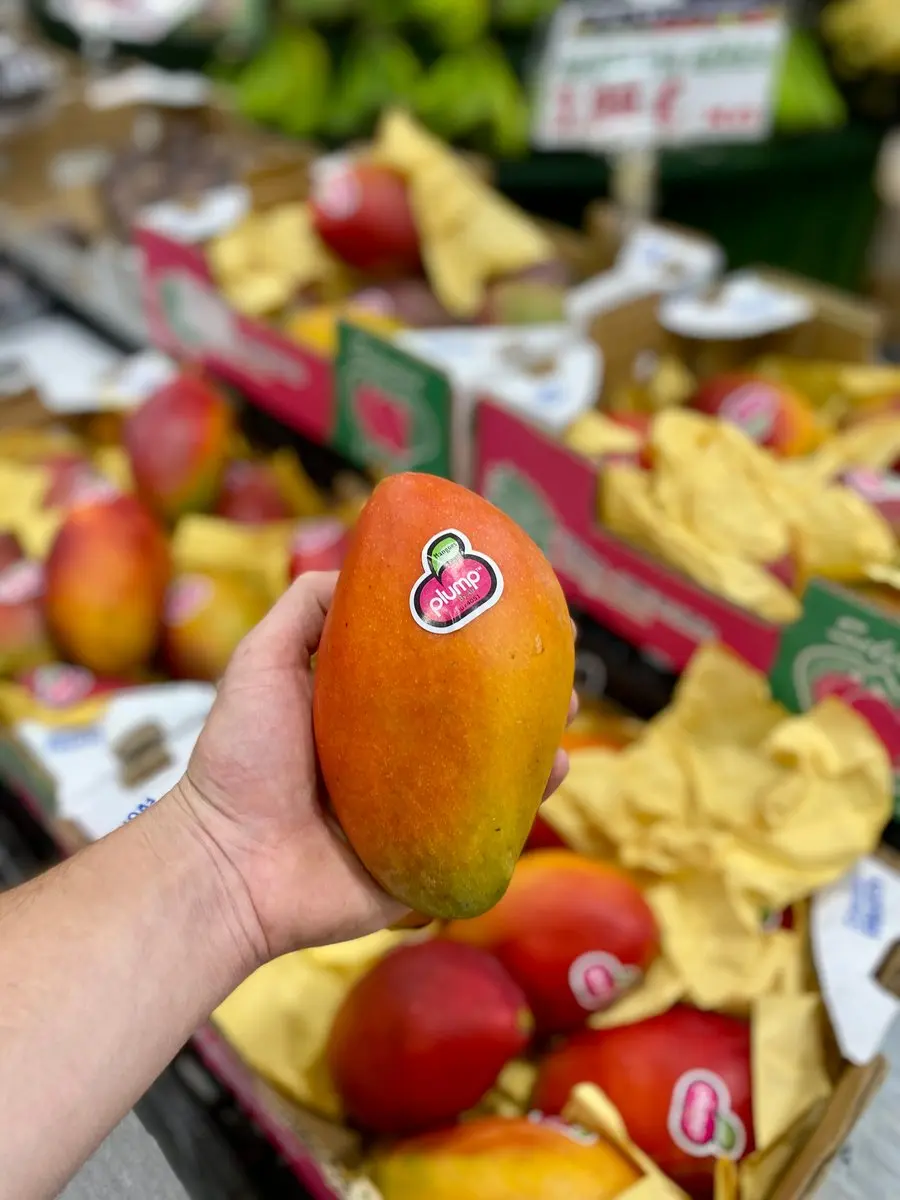 tgoo-img-699e15217556b6.60215387 Manga via aerea - Image 1