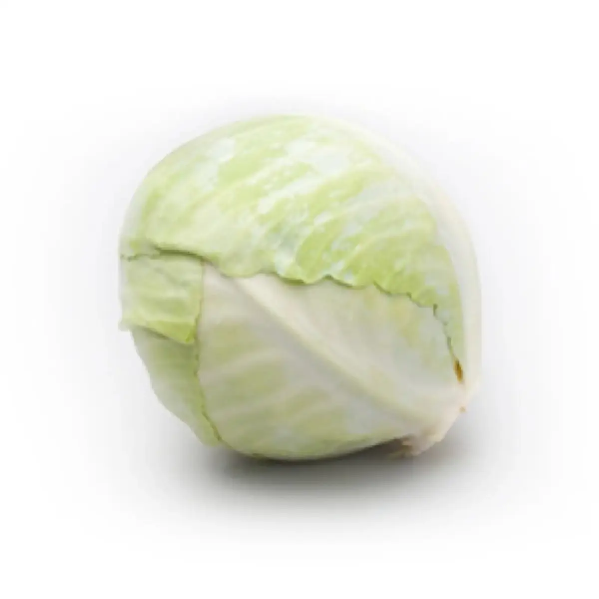 tgoo-img-699e152d9a7a08.78641213 Couve Branca Unidade - Image 1