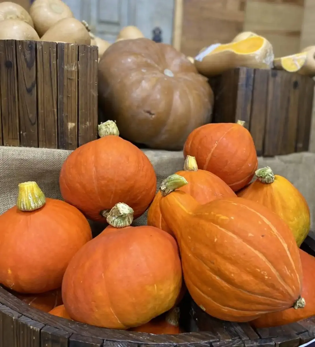 tgoo-img-699e15307510e3.31896484 Abóbora Hokkaido unidade - Image 1