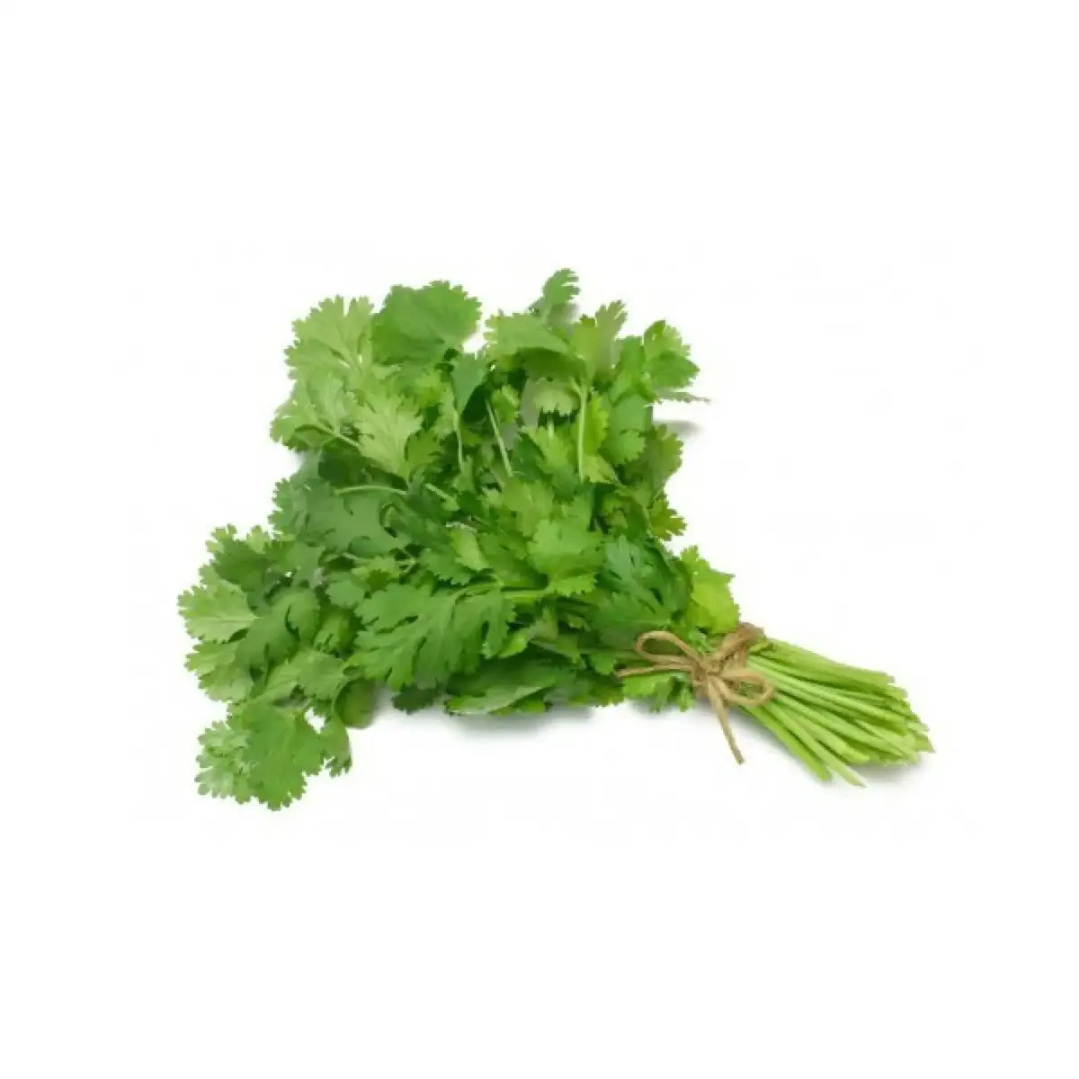 tgoo-img-699e1630d47518.48640714 Coentros 500G - Image 1