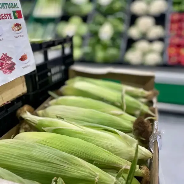 Milho fresco/ Maçaroca