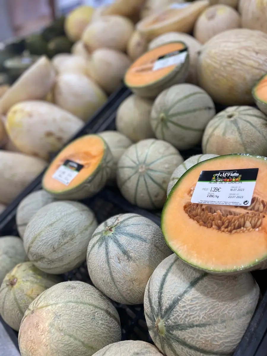 tgoo-img-699e168b1e45e2.31145827 Meloa guadalupe Unidade - Image 1