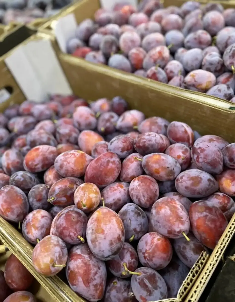 tgoo-img-699e16a4c1e1d7.28541471 Abrunhos kg - Image 1