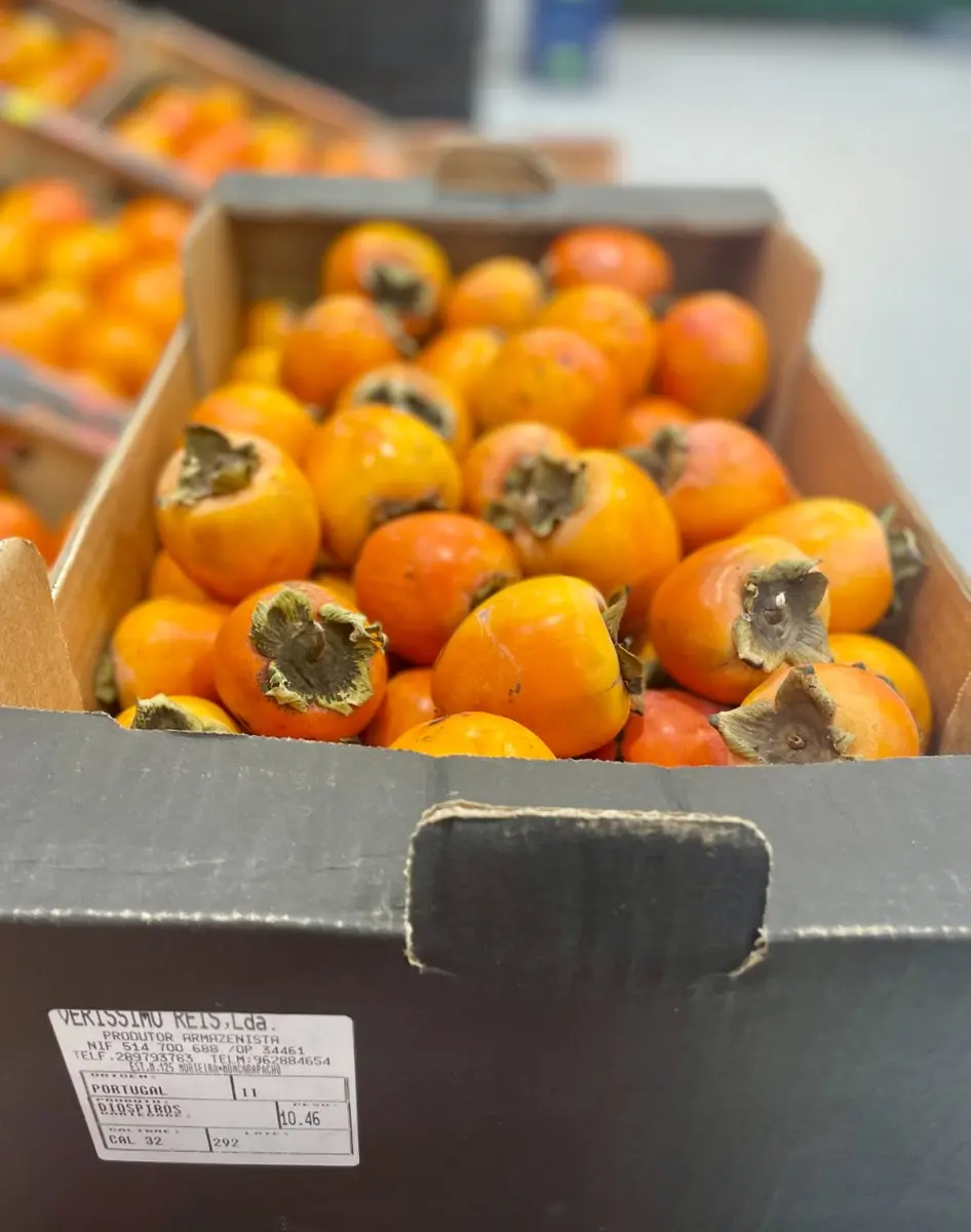 tgoo-img-699e16d673aa82.57455679 Diospiro de roer pequeno - Image 1