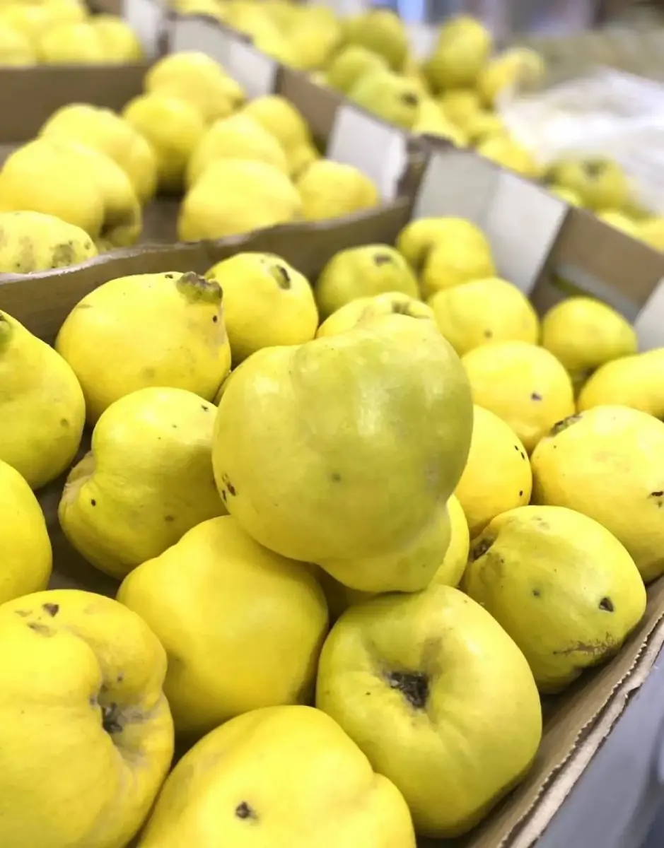 tgoo-img-699e16fd2f5353.72917242 Marmelo Unidade - Image 1