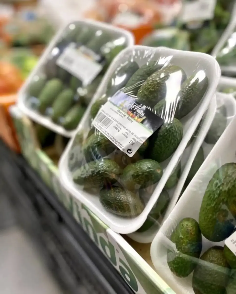 tgoo-img-699e18857235a9.02604096 Abacate Mini “baby” - Image 1