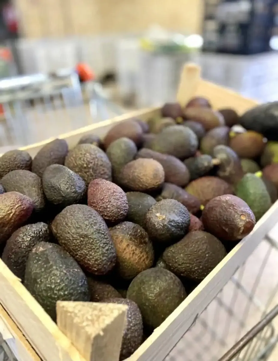 tgoo-img-699e189473fe70.29366949 Abacate hass pequeno - Image 1