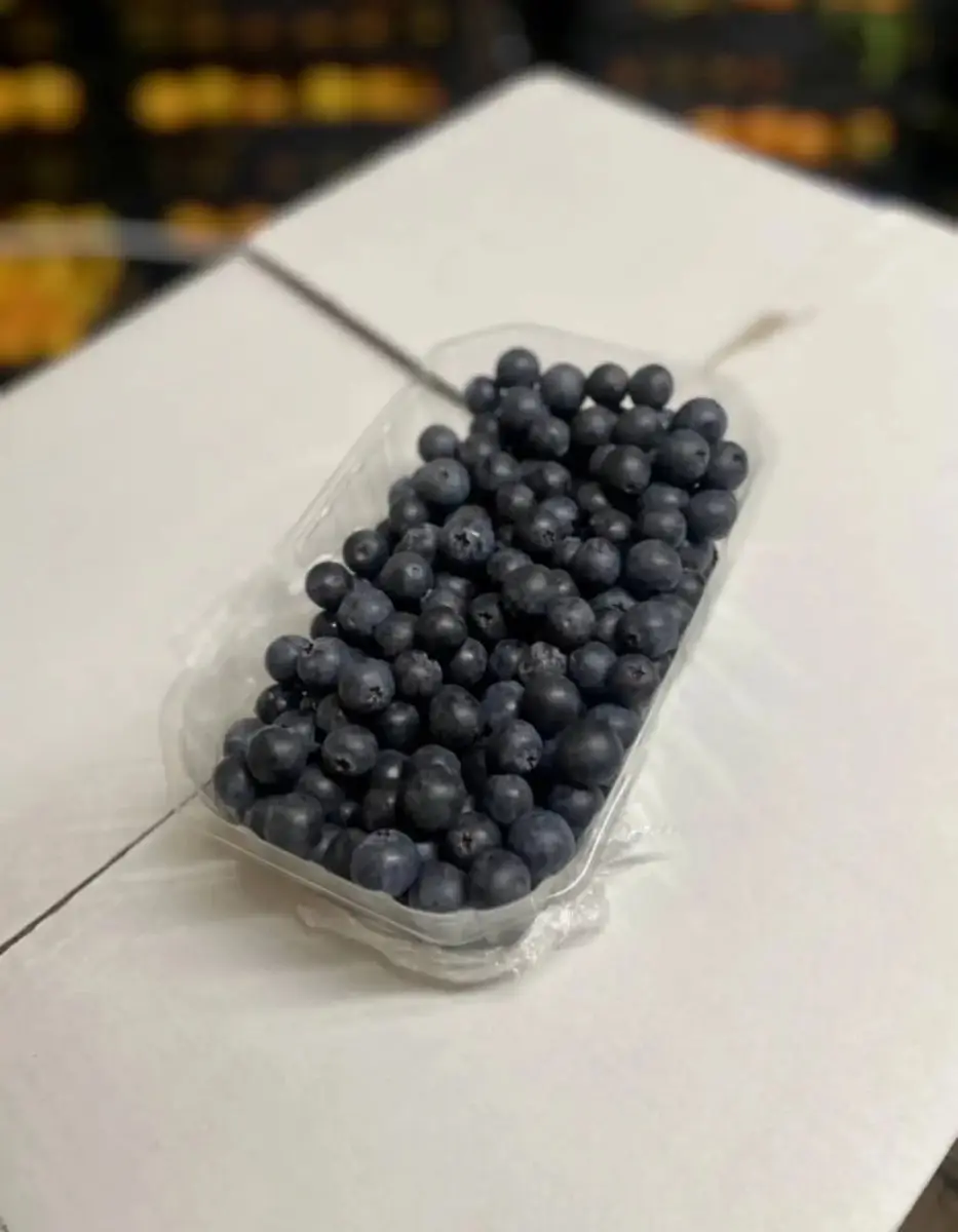 tgoo-img-699e18b3419945.79452681 Mirtilho Emb. 500g - Image 1