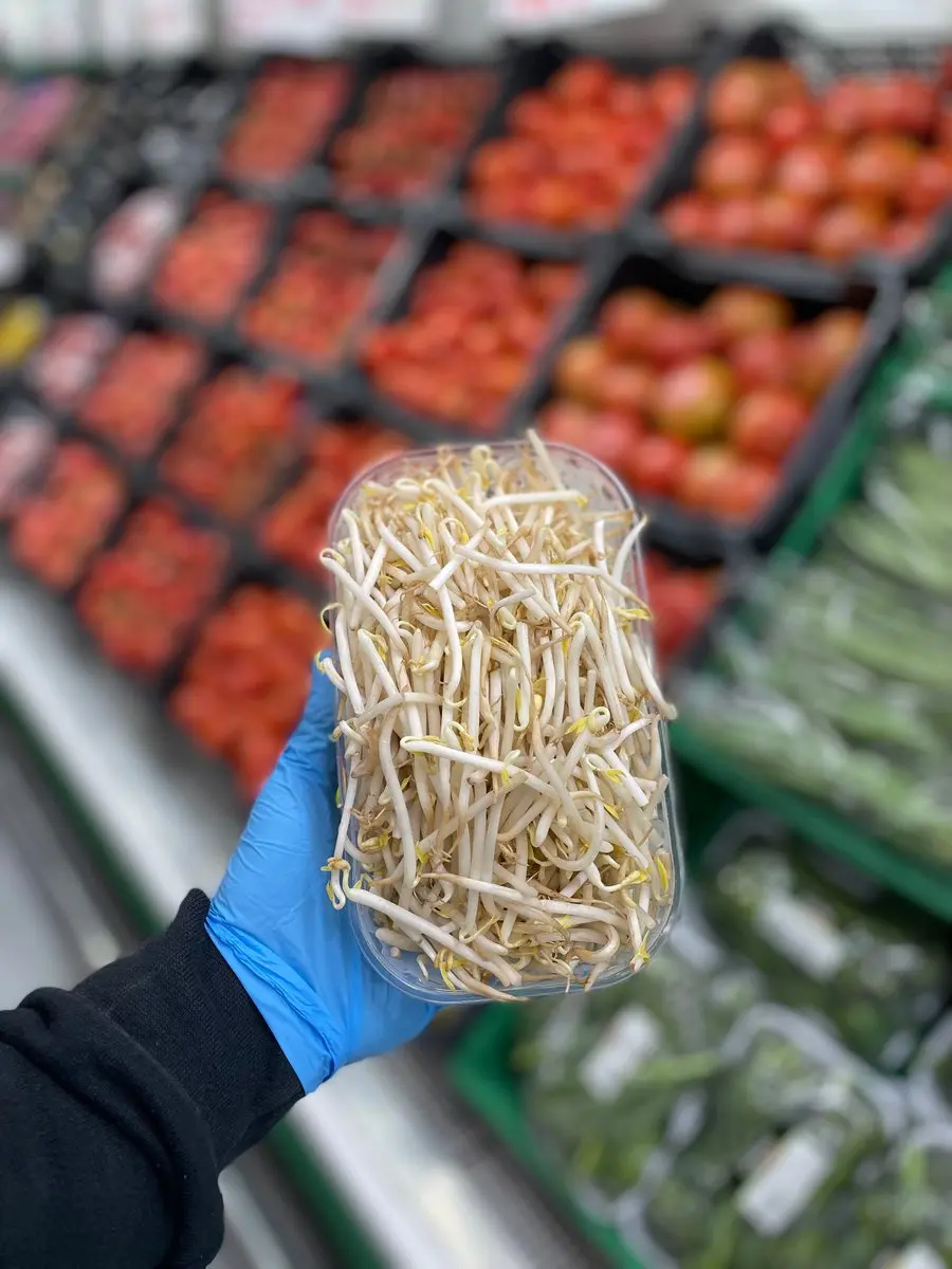 tgoo-img-699e193ccd6932.81221997 Rebentos de soja - Image 1