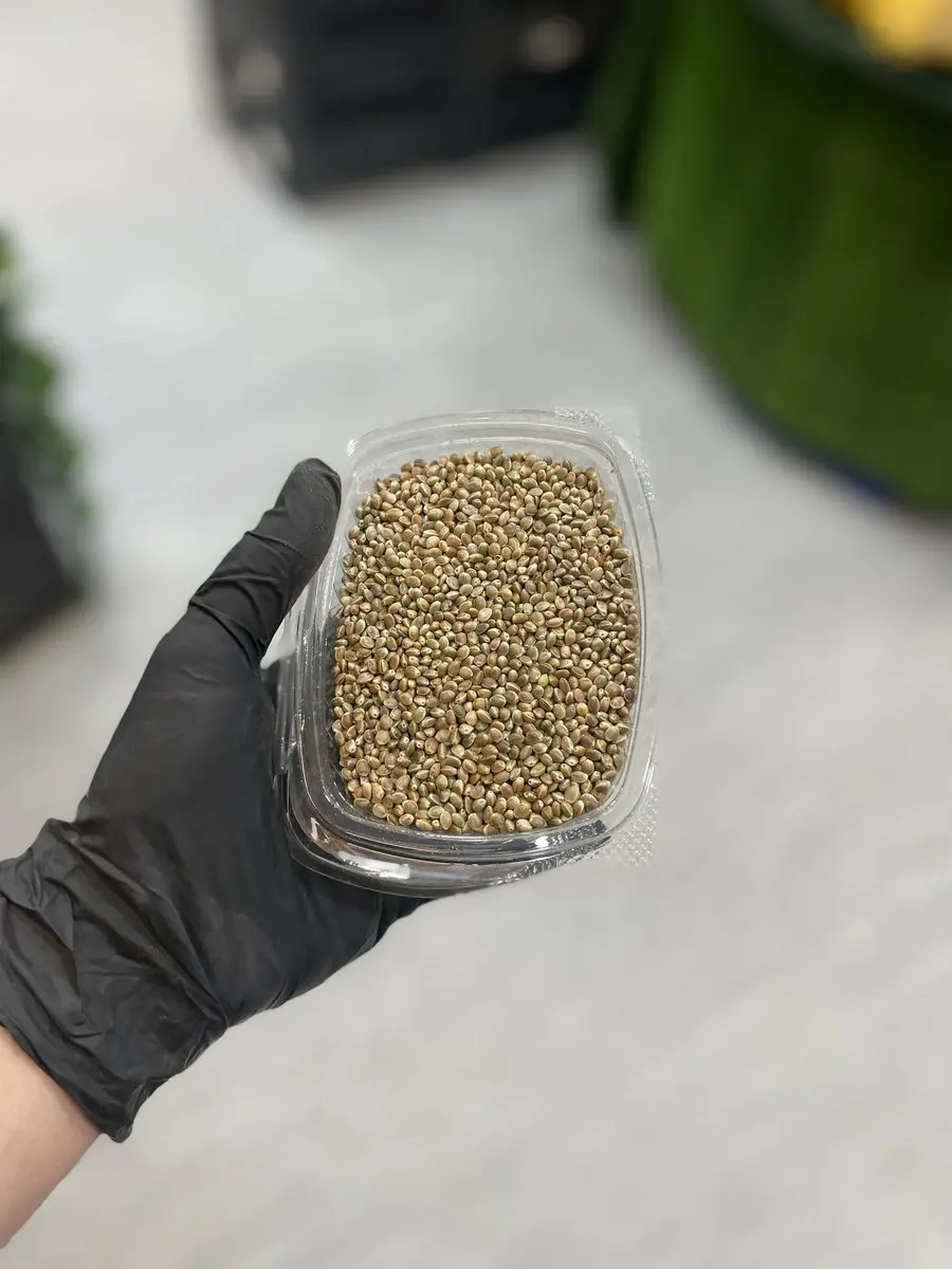 tgoo-img-699e19717ee1c9.15577331 Semente de cânhamo - Image 1