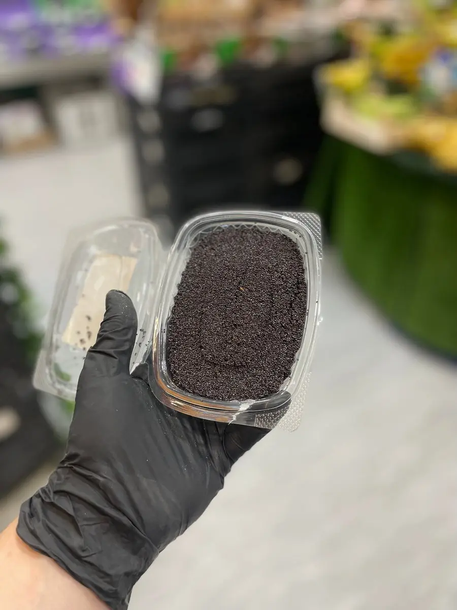 tgoo-img-699e1978d1dc79.90177579 Semente de sésamo negro - Image 1