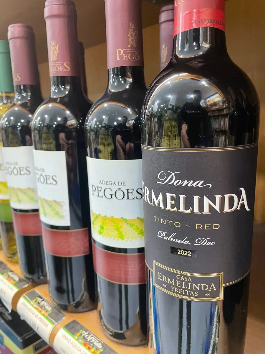 tgoo-img-699e19b4cd6df8.34354478 Vinho Dona Ermelinda Freitas tinto - Image 1