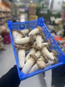 Cogumelo eringi 200g