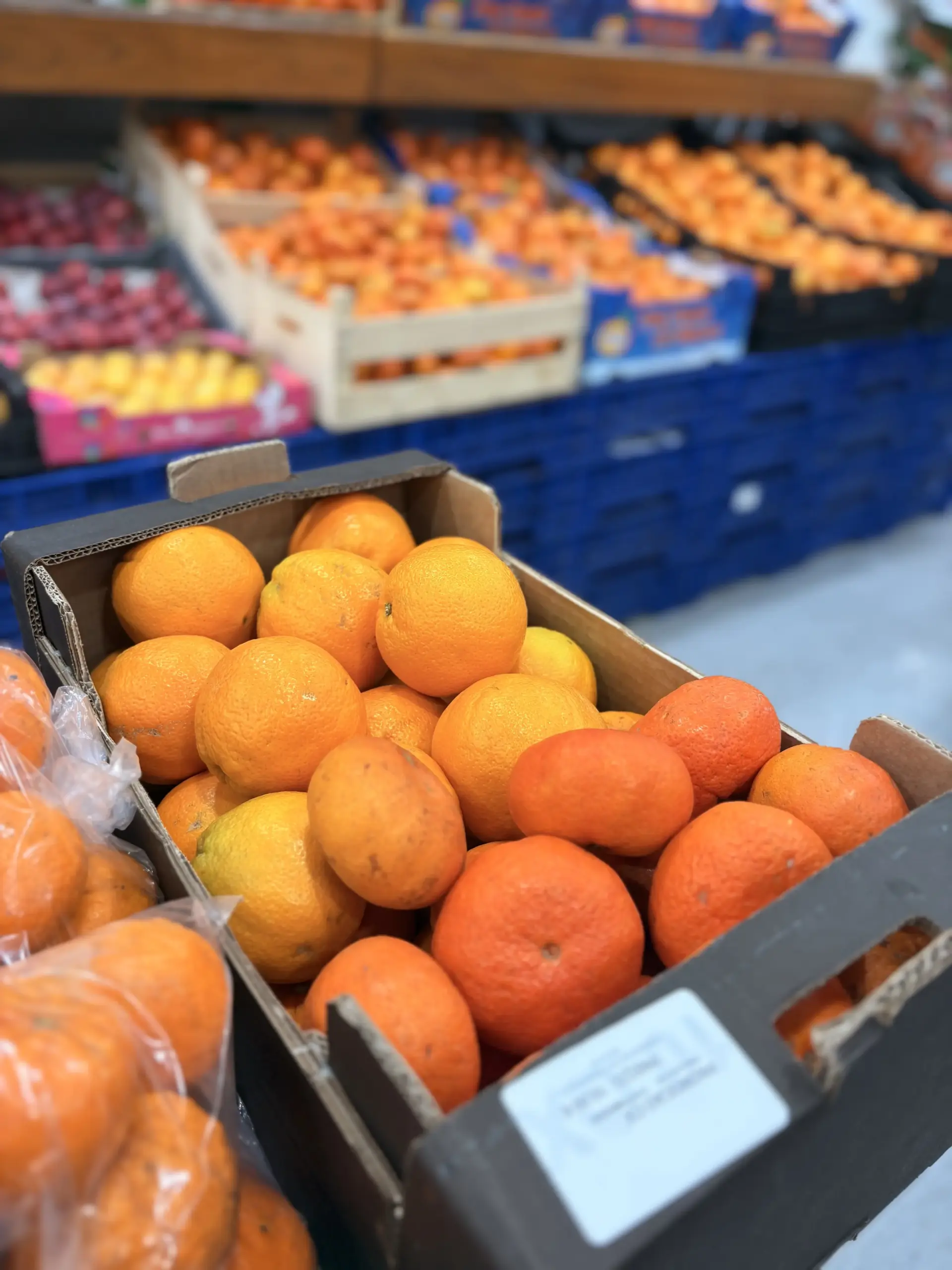 IMG_8958 CAIXA DE CLEMENITNA/LIMÃO/LARANJA - Image 1