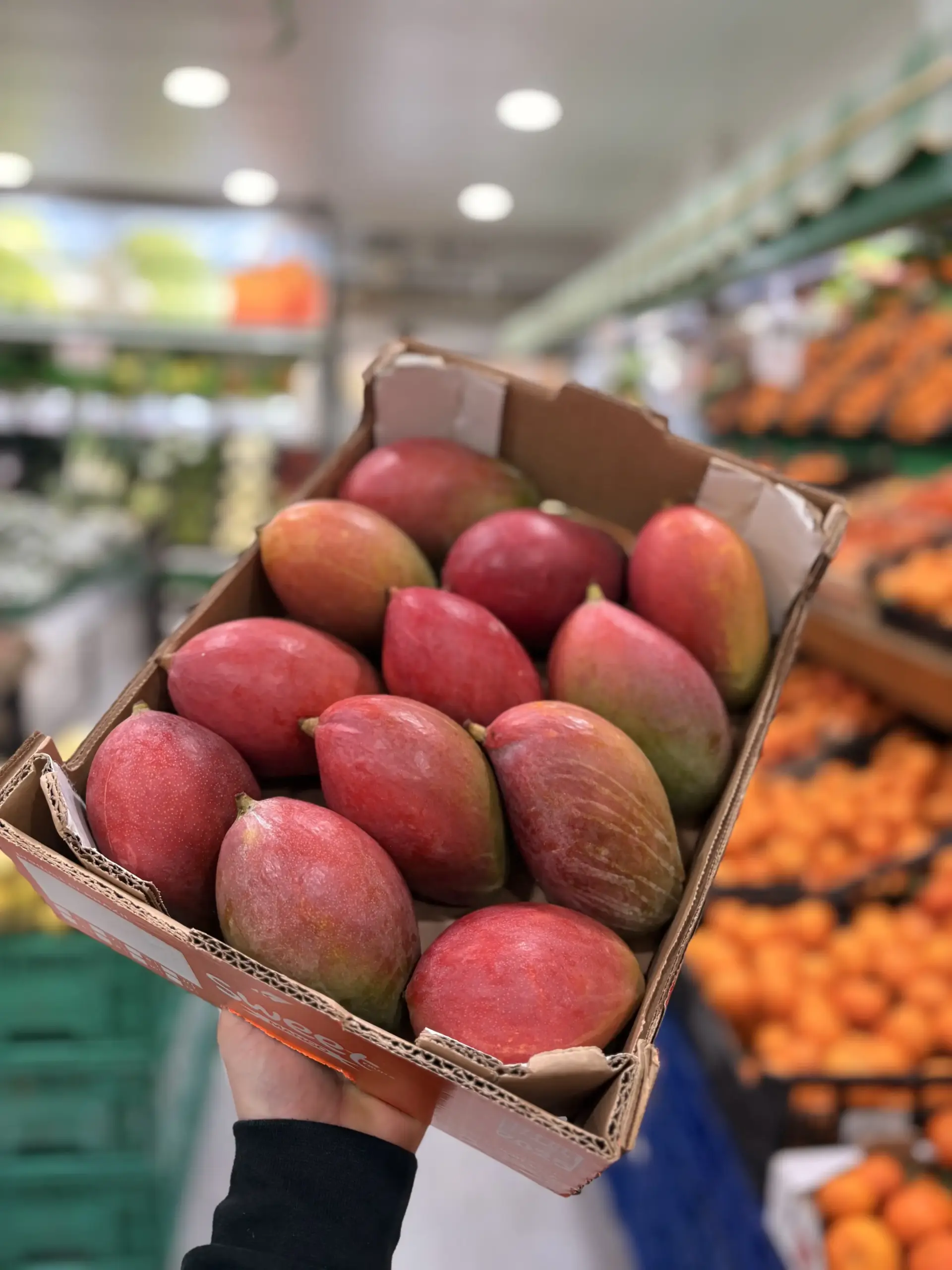 IMG_8797 CAIXA DE MANGA - Image 1