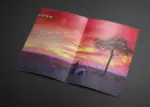 Revistas